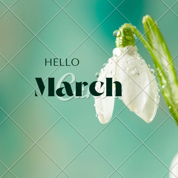 🛍 Minimum $15 - Picture 9 of 16